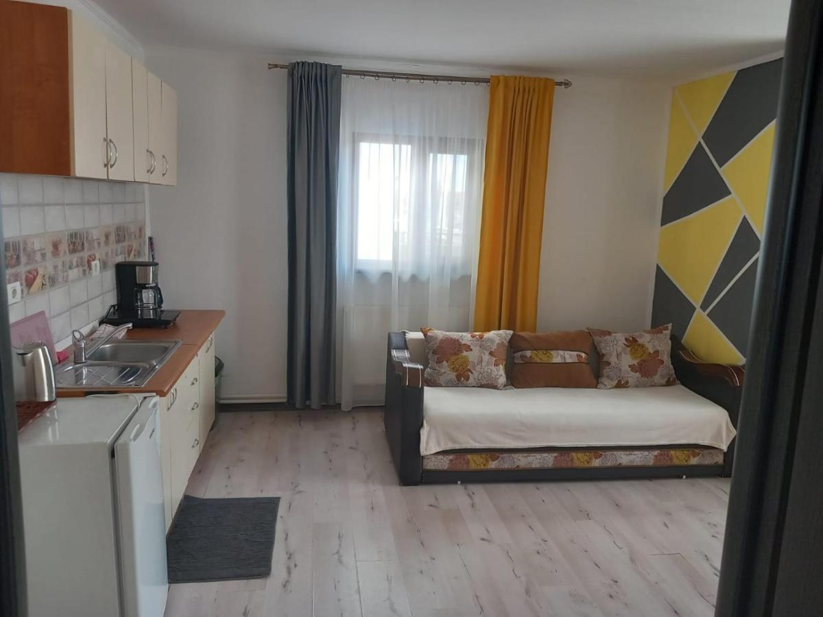 Casa Davison Apartment Targu Jiu Exterior photo